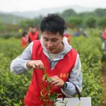 Farmers producing foods