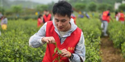 Farmers producing foods