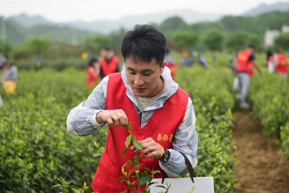 Farmers producing foods